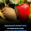 podstansya_
