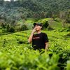 akay_tea