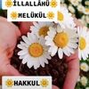 nazire.cokun