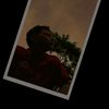 freddy.ordoez4