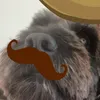 zoeyxx44