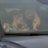jajajjajaajjjj