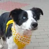 makicuesta