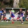 joel.cresswell7