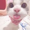 nanaaluppnara