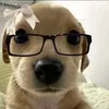 diepmevex