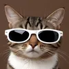 furry___flicks