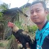 mamed.ayam.kampung