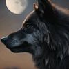 loup7353