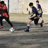 amaro_520