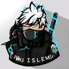 wr_islem_ff