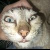 irsyadh_6