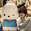 serendipity_posts