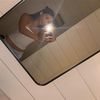 jocelynco52