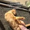 lunabrown123