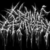 crownofmiserydc