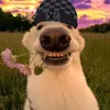 phun_phun012