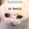 oatsanai637