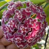 jonnah224