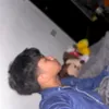 denxz.omygash
