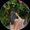 shinning_sttar