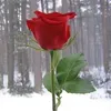 user109901886122