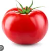 user7407815715519