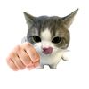 user1823588083927