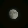 stargazer1580