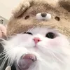 _hnu_qinh_