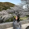 altinjapan5