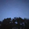 user_10101010102q