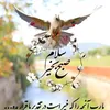 tiktok.comfakhri.suhail4