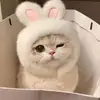 roisee.z