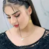 alla.qava2