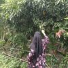 afrojatina