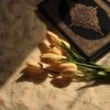 nancyabdo928