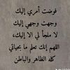 user856521630945