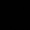nopii_1911