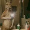 luayito.tiktoker