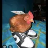 peetterpesonen