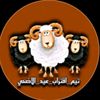 amir_xx13