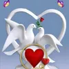 amgad22446688