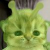 bitong26__26