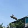 tt08427