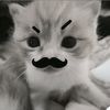 miawcaaa_