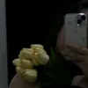 fildop8