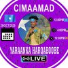 taliyemaanka04