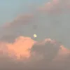 bahra__141