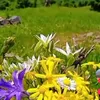 ismail.erden6